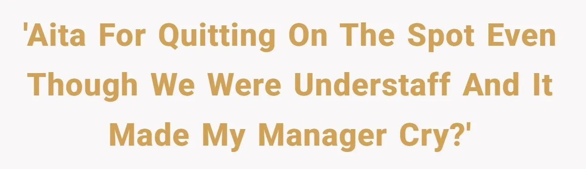 'AITA For quitting on the spot even though we were understaff and it made my manager cry?'