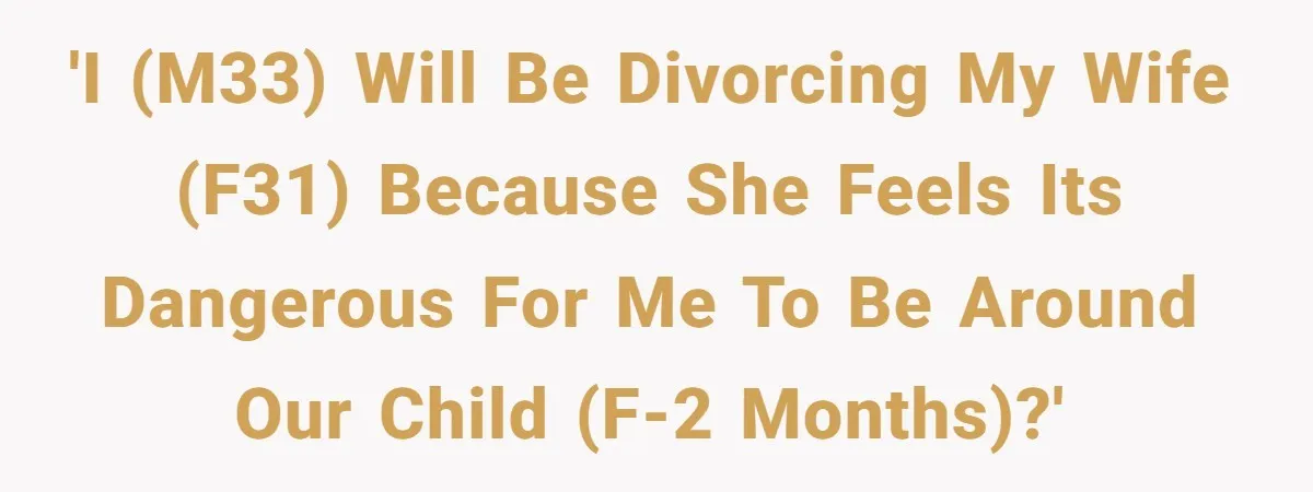 Father Banned From Holding Newborn By Wife, Now Plans To Divorce After Months Of Conflict 'I (M33) will be divorcing my wife (F31) because she feels its dangerous for me to be around our child (F-2 months)?'