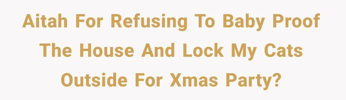 AITAH FOR REFUSING TO BABY PROOF THE HOUSE AND LOCK MY CATS OUTSIDE FOR XMAS PARTY?