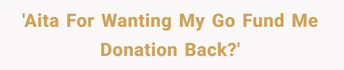 'AITA for wanting my Go Fund Me donation back?'