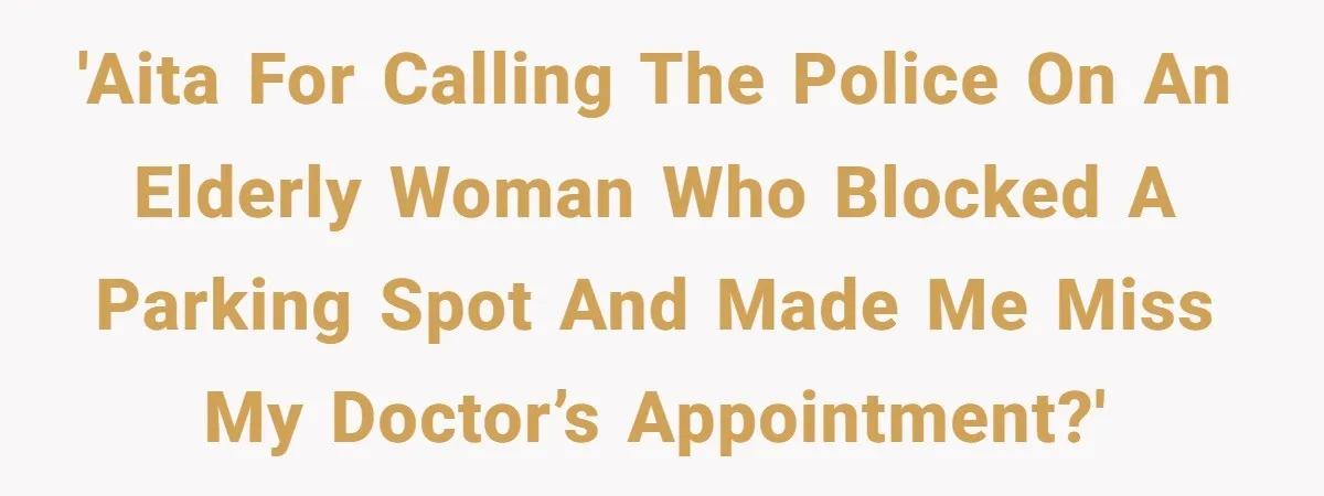 He Called the Police Over a Parking Spot and Missed His Doctor’s Appointment, Now He’s Wondering If He Went Too Far 'AITA for calling the police on an elderly woman who blocked a parking spot and made me miss my doctor’s appointment?'