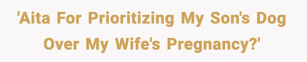 He Defends Son’s Dog After Wife Demands Rehoming Over Pregnancy Anxiety 'AITA for prioritizing my son's dog over my wife's pregnancy?'