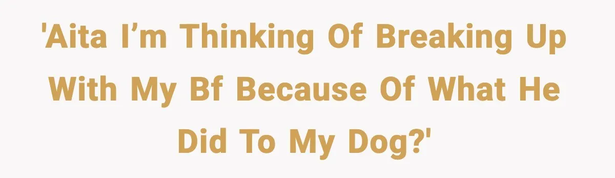“He Did WHAT to My Dog?” Secret Breeding Sparks Breakup Decision 'AITA I’m thinking of breaking up with my bf because of what he did to my dog?'