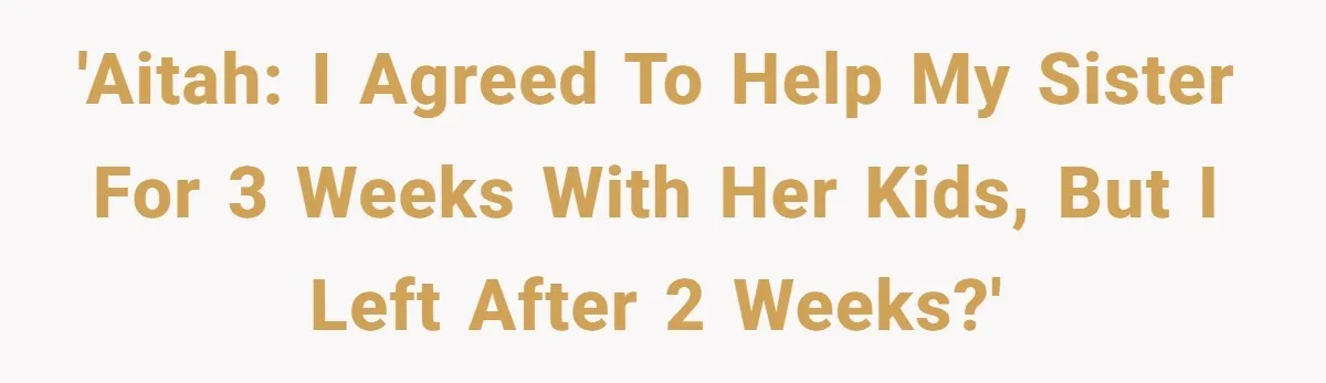 He Flew Across the Country to Help His Sister After Childbirth, Then Realized He’d Been Treated Like Unpaid Staff 'AITAH: I agreed to help my sister for 3 weeks with her kids, but I left after 2 weeks?'