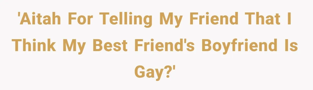 'AITAH for telling my friend that I think my Best Friend's boyfriend is gay?'