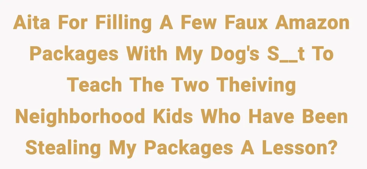 Homeowner Leaves Dog Poop In Fake Packages To Catch Kids Stealing Deliveries AITA for filling a few faux Amazon packages with my dog's s__t to teach the two theiving neighborhood kids who have been stealing my packages a lesson?