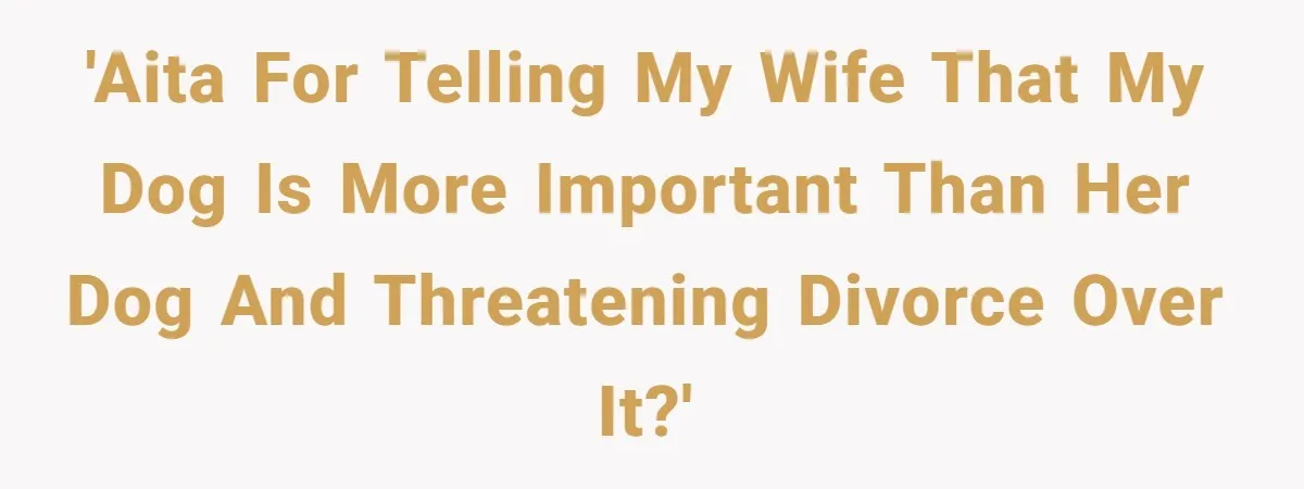 'AITA for telling my wife that my dog is more important than her dog and threatening divorce over it?'