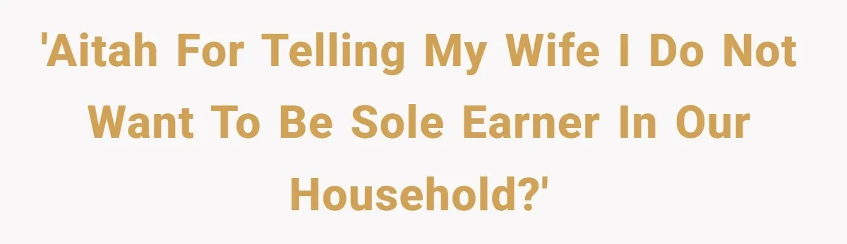 'AITAH for telling my wife I do not want to be sole earner in our household?'