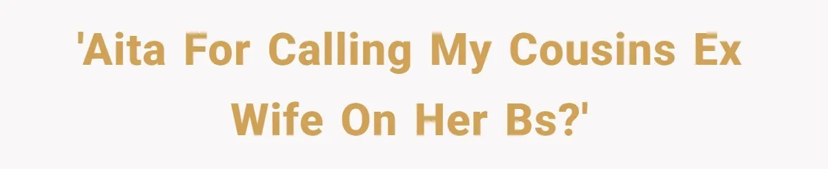 'AITA for calling my cousins ex wife on her BS?'