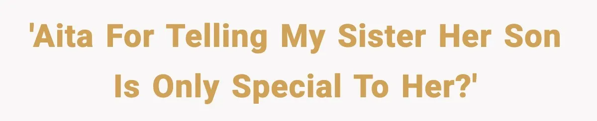 Mom Calls Nephew A Spoiled Brat After He Tries To Push Birthday Cake Off The Table 'AITA for telling my sister her son is only special to her?'