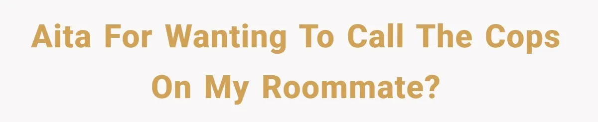 My Roommates Think I Am in the Wrong for Trying to Report My Stolen Passport AITA for wanting to call the cops on my roommate?