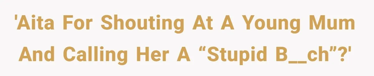 Partner Defends A Stressed Mother Against Her Boyfriends Harsh Reaction To A Dangerous Situation 'AITA for shouting at a young mum and calling her a “stupid b__ch”?'