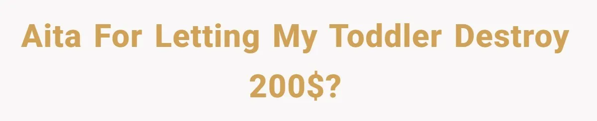 Relative Insists Toddler Deserves $200, Then Loses It When He Destroys It AITA for letting my toddler destroy 200$?