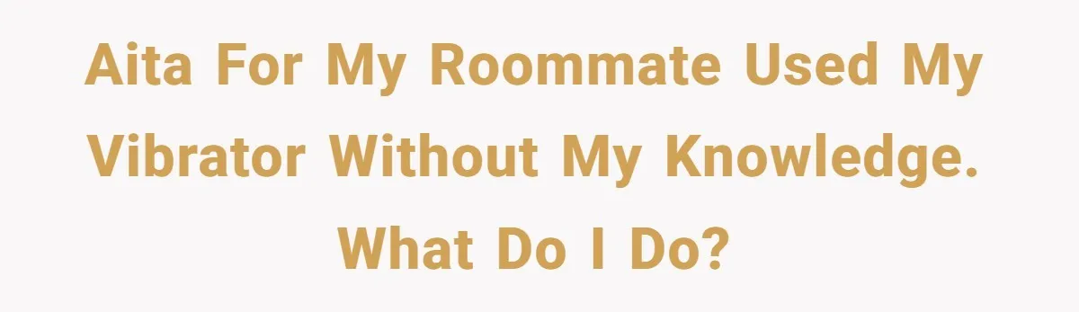 Roommate Sneaks Into Couple’s Bedroom And Uses Her Vibrator, Now They Feel Completely Violated AITA for my roommate used my vibrator without my knowledge. What do I do?