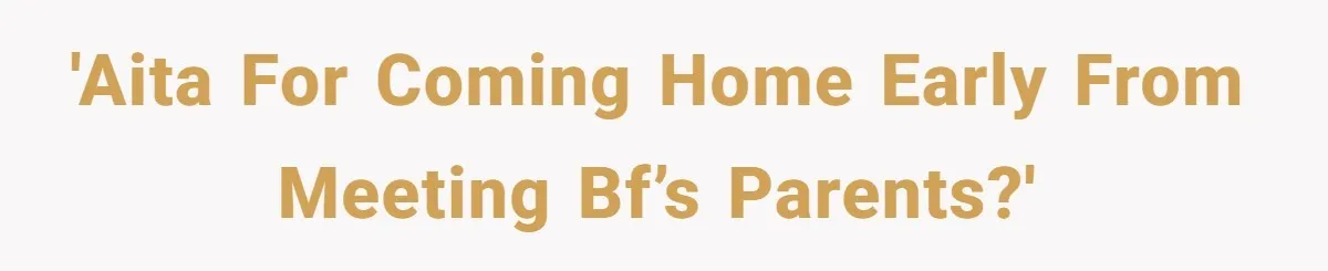 'AITA for coming home early from meeting bf’s parents?'