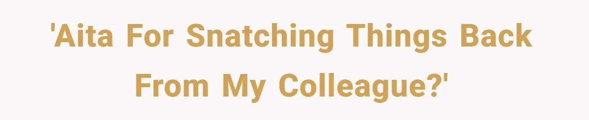 She Tries To Teach Her Colleague A Lesson About Snatching Things, Only To Make Everything Worse 'AITA for snatching things back from my colleague?'