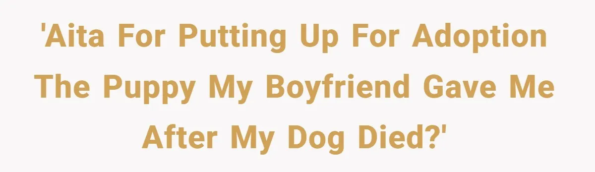 She Was Grieving Her Dog. Her Boyfriend Gave Her a Puppy, and It Made Everything Worse 'AITA for putting up for adoption the puppy my boyfriend gave me after my dog died?'