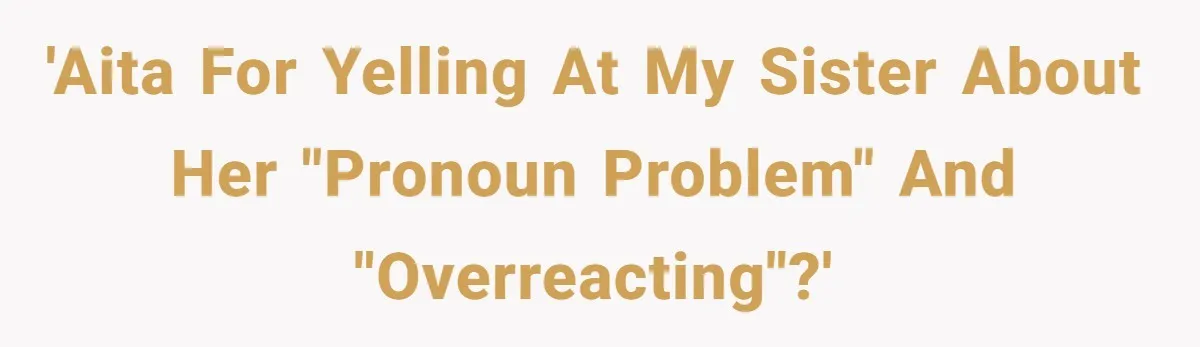 Sister Constantly Corrects Her Pronouns, She Finally Snaps And Gets Kicked Out 'AITA for yelling at my sister about her "pronoun problem" and "overreacting"?'