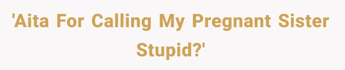 Sister Labeled "Horrible Aunt" For Debunking The Disneyland Lifetime Pass Conspiracy 'AITA for calling my pregnant sister stupid?'