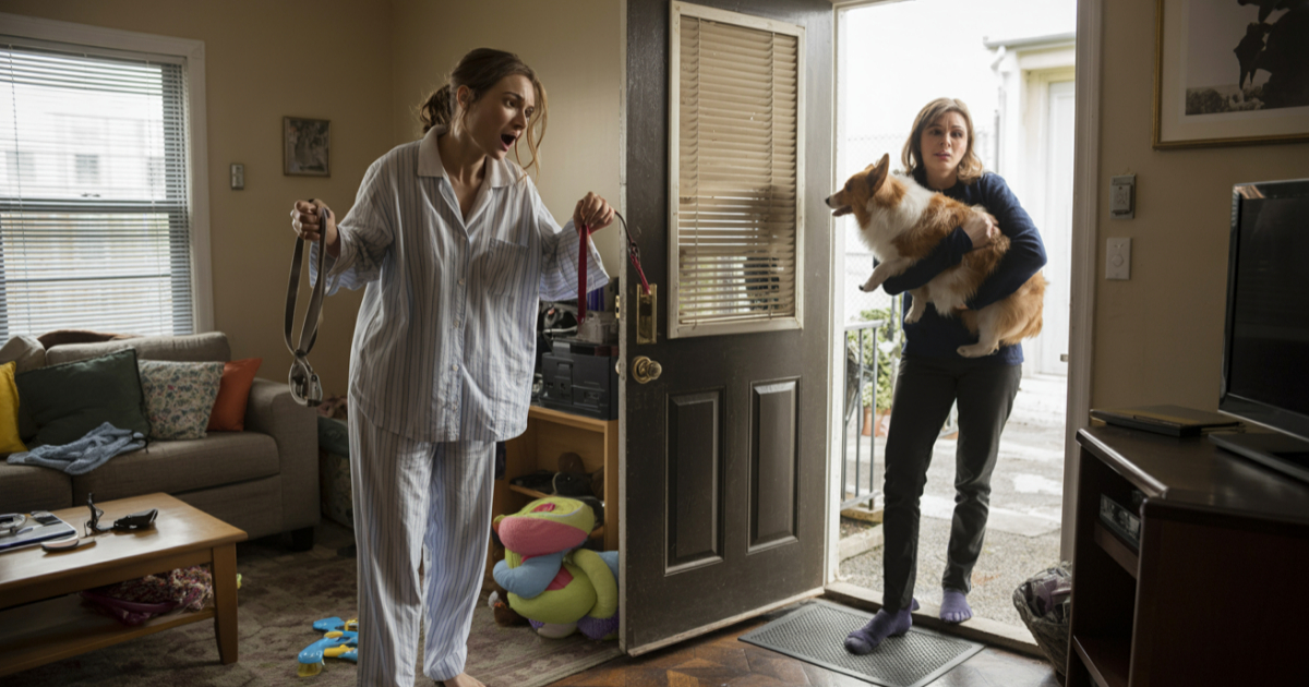 Sister Refuses To Respect Boundaries And Keeps Taking The Dog, Owner Finally Loses His Patience