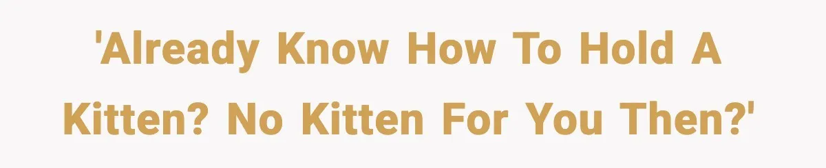 'Already know how to hold a kitten? No kitten for you then?'