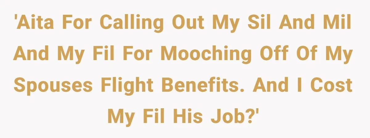 The High-Altitude Heist: When "Family Discounts" Turn Into a $7,000 Family Feud 'AITA for calling out my SIL and MIL and my FIL for mooching off of my spouses flight benefits. And I cost my FIL his job?'
