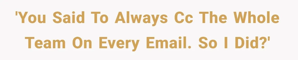 'You said to always cc the whole team on every email. So I did?'