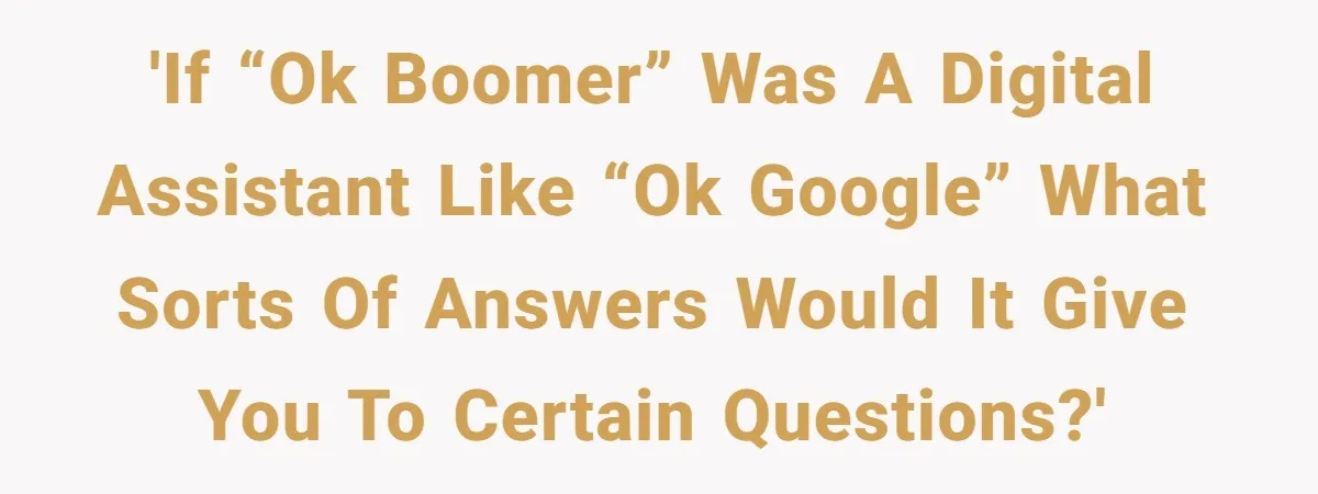 What Happens When Voice Assistance Answers You Like A Real Boomer 'If “OK Boomer” was a digital assistant like “OK Google” what sorts of answers would it give you to certain questions?'