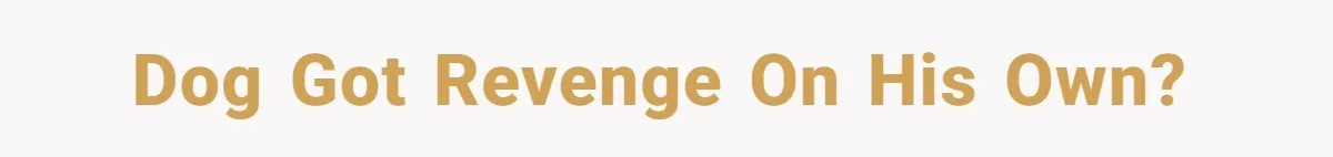 Dog got revenge on his own?