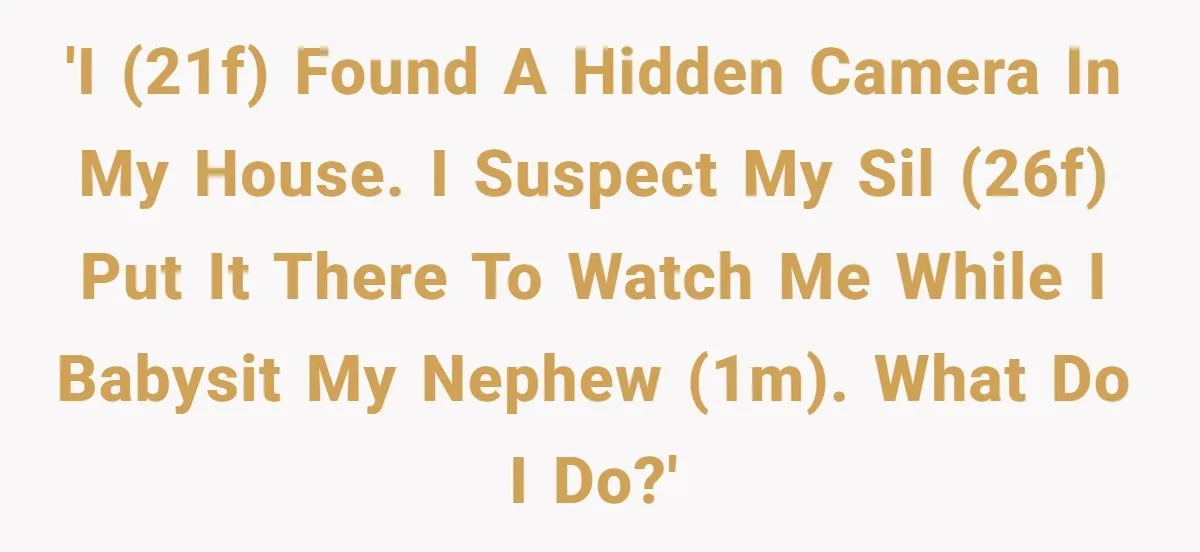 Woman Babysits Her Nephew For Free, Then Finds A Hidden Camera Watching Her Playroom 'I (21F) found a hidden camera in my house. I suspect my SIL (26F) put it there to watch me while I babysit my nephew (1M). What do I do?'