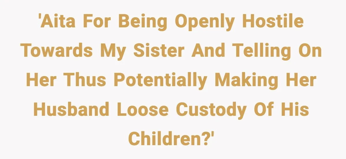 'AITA for being openly hostile towards my sister and telling on her thus potentially making her husband loose custody of his children?'