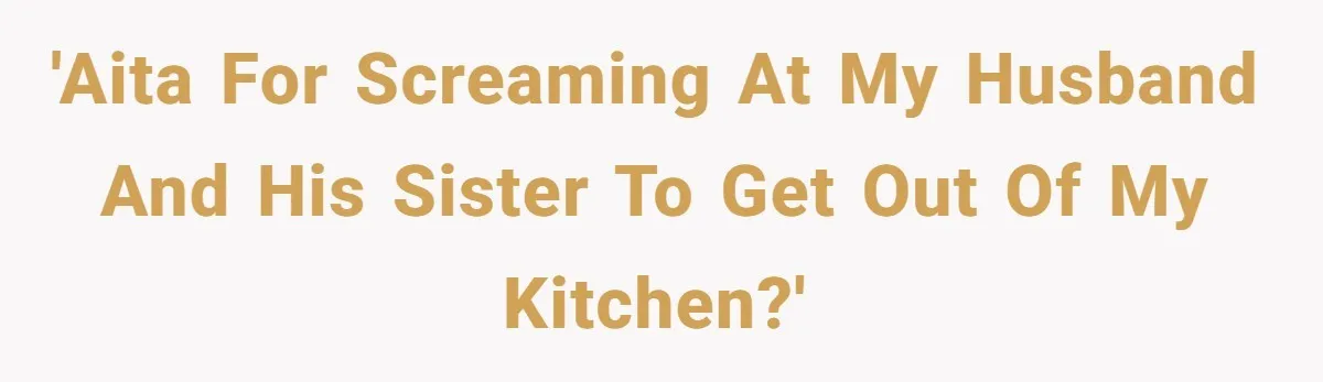 'AITA for screaming at my husband and his sister to get out of my kitchen?'