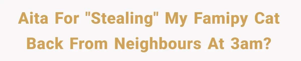 AITA for "stealing" my famipy cat back from neighbours at 3am?