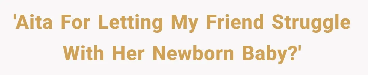 'AITA for letting my friend struggle with her newborn baby?'