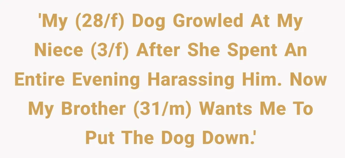 Woman’s Dog Growls At Niece After Year Of Harassment, Now Her Brother Wants It Put Down 'My (28/f) dog growled at my niece (3/f) after she spent an entire evening harassing him. Now my brother (31/m) wants me to put the dog down.'